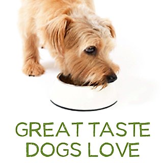 PURINA BENEFUL Healthy Puppy with Farm Raised Chicken High Protein Dry Dog Food 3.5 lb bag Chewy