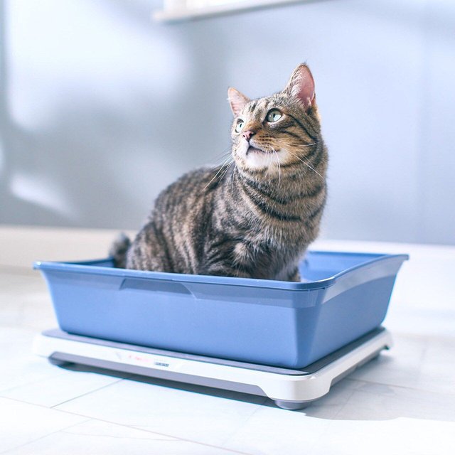 Purina Petivity Smart Litter Box Monitor System Voted Product Of The Year 2025