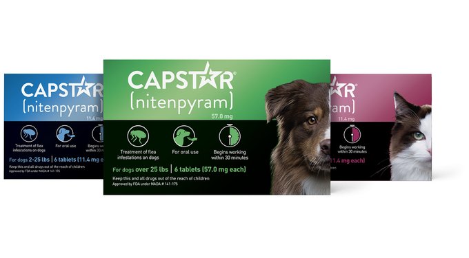 Capstar Flea Oral Treatment for Cats, 2-25 lbs