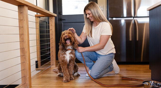 Capstar Flea Oral Treatment for Dogs, over 25 lbs