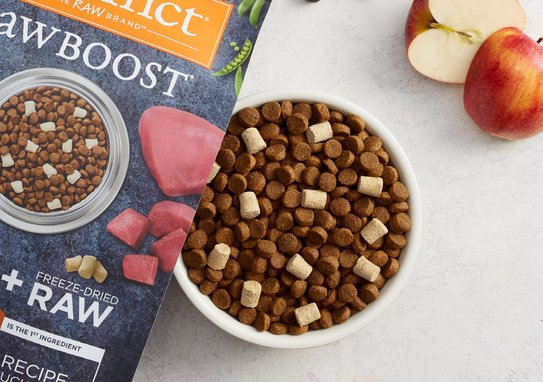 INSTINCT Raw Boost Adult Grain Free Real Chicken Recipe Dry Dog