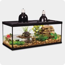 Tanks & Terrariums