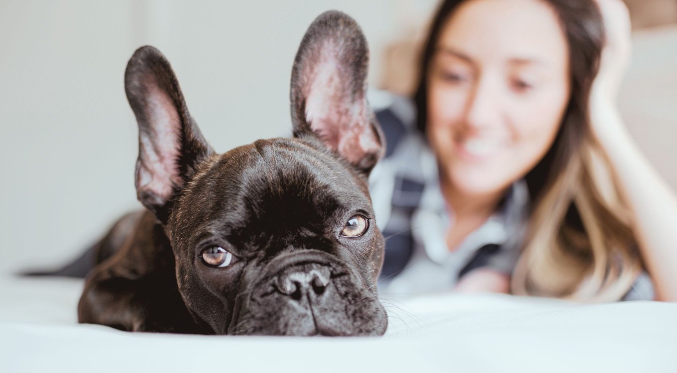 COLORFIL MERV 8 Color Changing Air Filter, 2 count, 20 x 20 x 1in