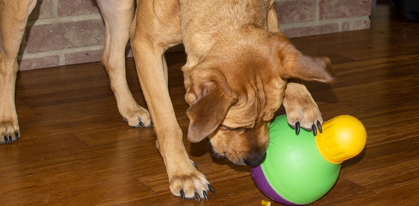 STARMARK Twist & Lock KettleBell Tough Treat Dispenser Dog Toy - Chewy.com