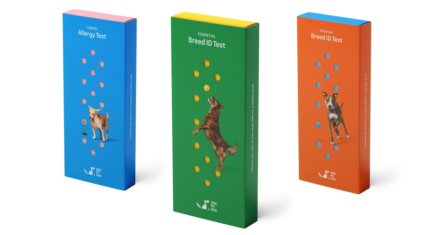 German Shepherd Wisdom Dog Dna Test Wisdom Panel Cat ORIVET Dog