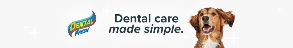 Dental Fresh. The original toothbrush in a bottle.