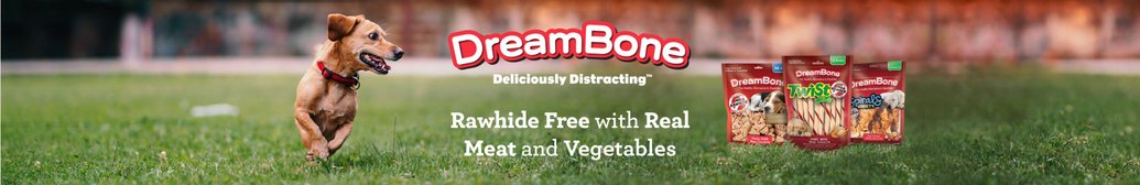 Dreambone