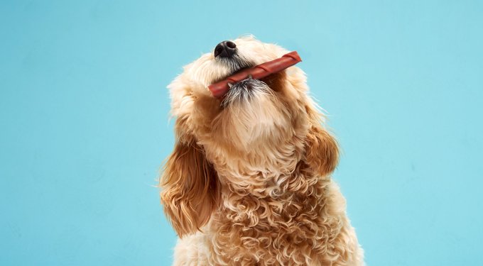 DreamBone CollaYUMS Twists Plus Collagen Chicken & Peanut Butter Flavor Dog Treat Chew