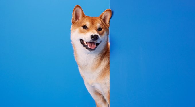 DreamBone CollaYUMS Twists Plus Collagen Chicken & Peanut Butter Flavor Dog Treat Chew