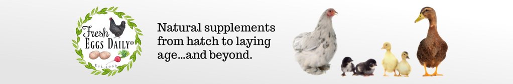 Natural Supplements from hatching to laying age...and beyond