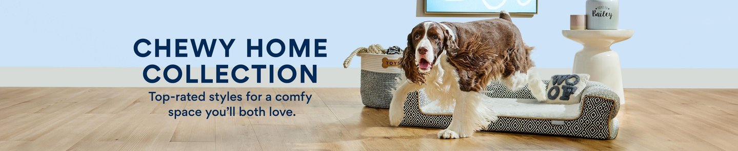 Chewy Home Collection. Design a comfy space with styles you'll both love.