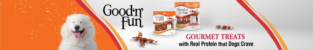 Good 'N Fun Brand Banner