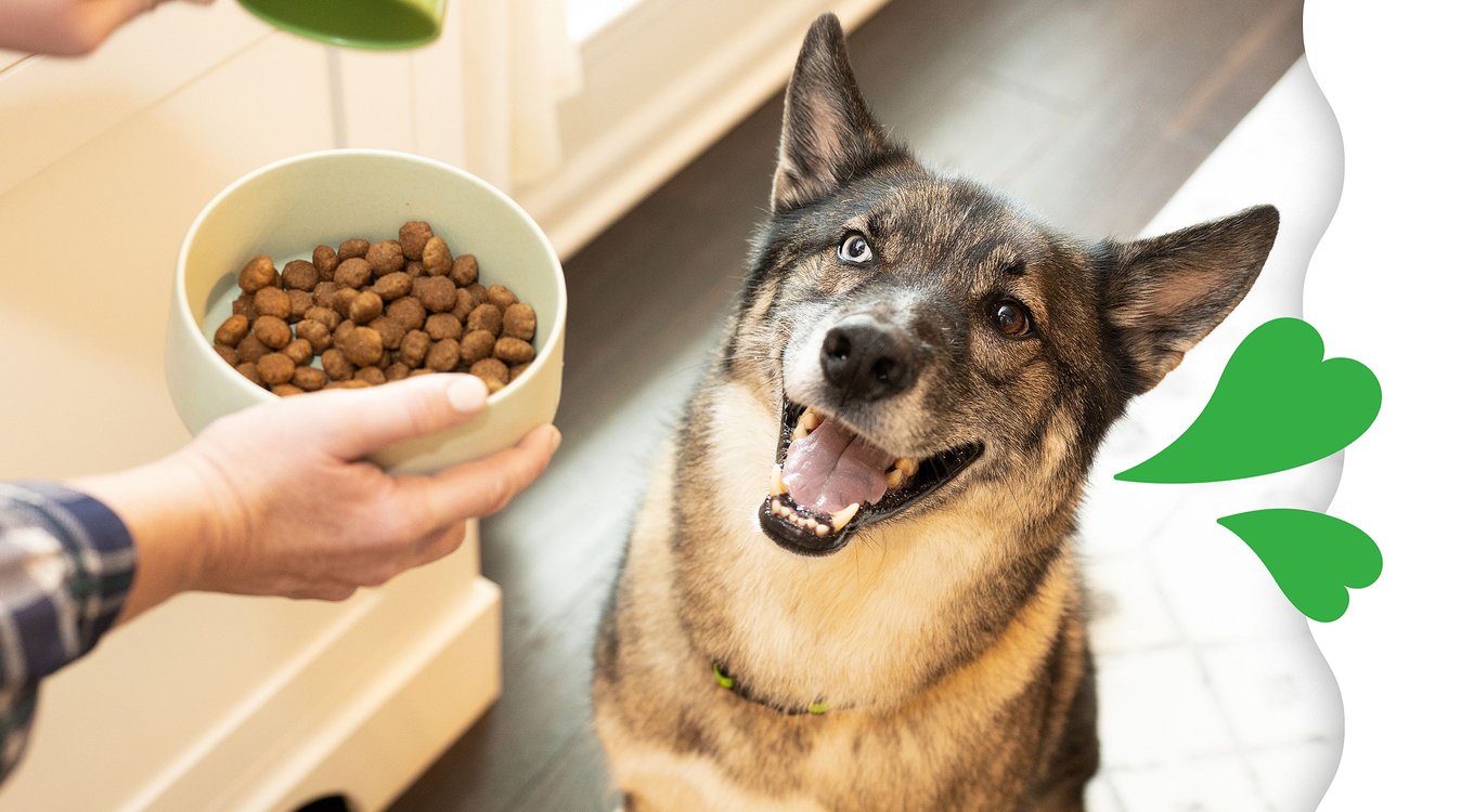 Greenies Smart Essentials Puppy High Protein Real Chicken & Brown Rice Dry Dog Food