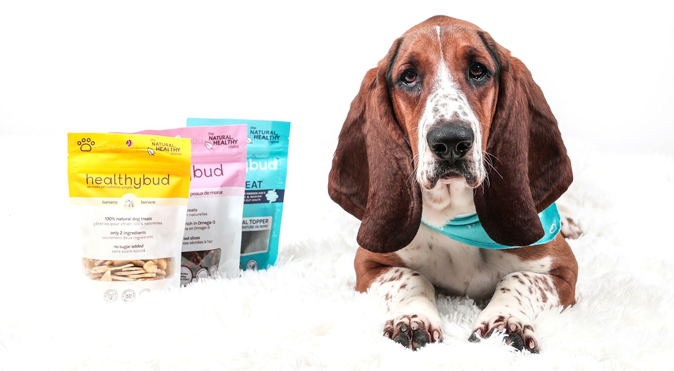 Healthybud Banana Chips Crunchy Vegan Dog Treats Single Ingredient, 5.3-oz bag