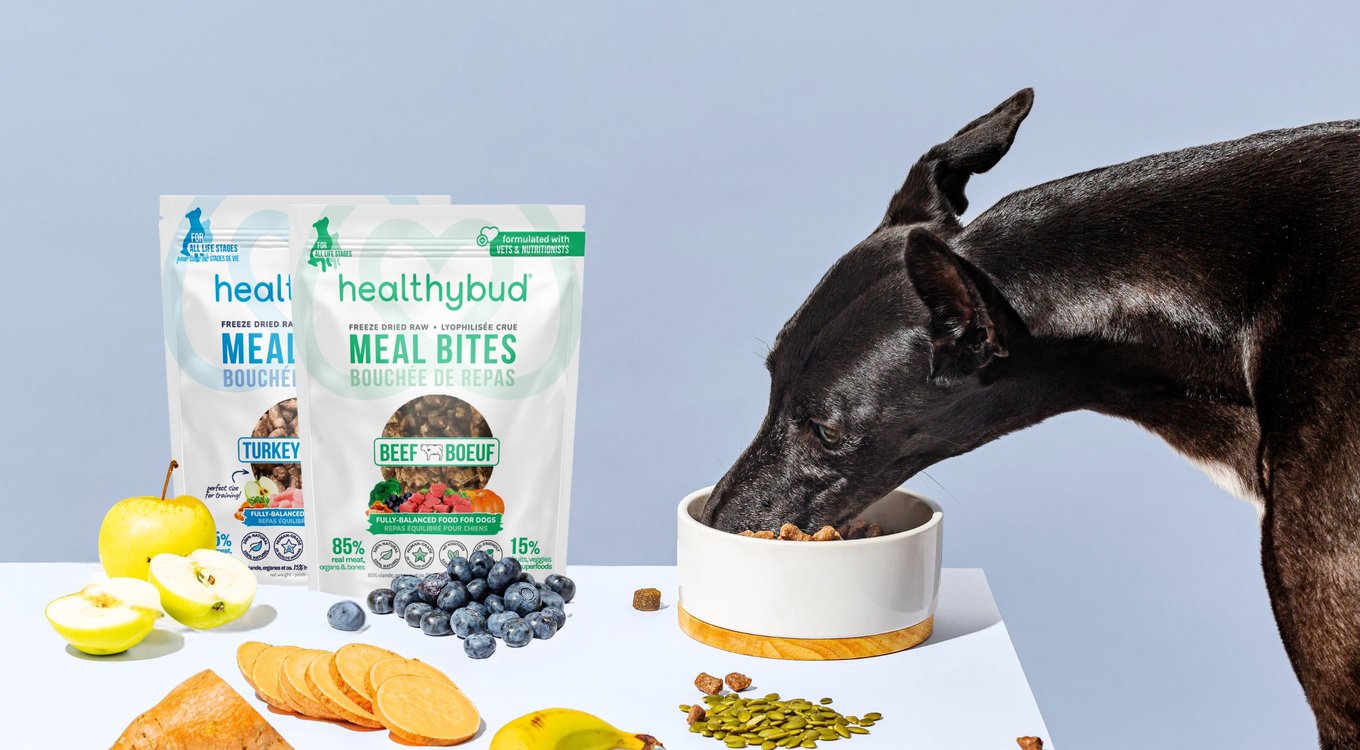 Healthybud Beef Bites Freeze-Dried Raw Dog Food Kibble-Style, 14-oz bag