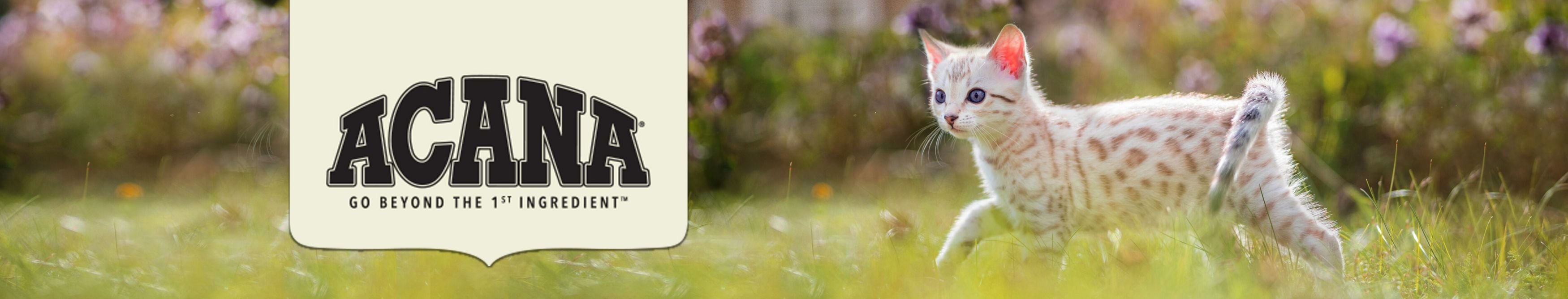 ACANA Highest Protein GrainFree Dry Kitten Food, 4lb bag