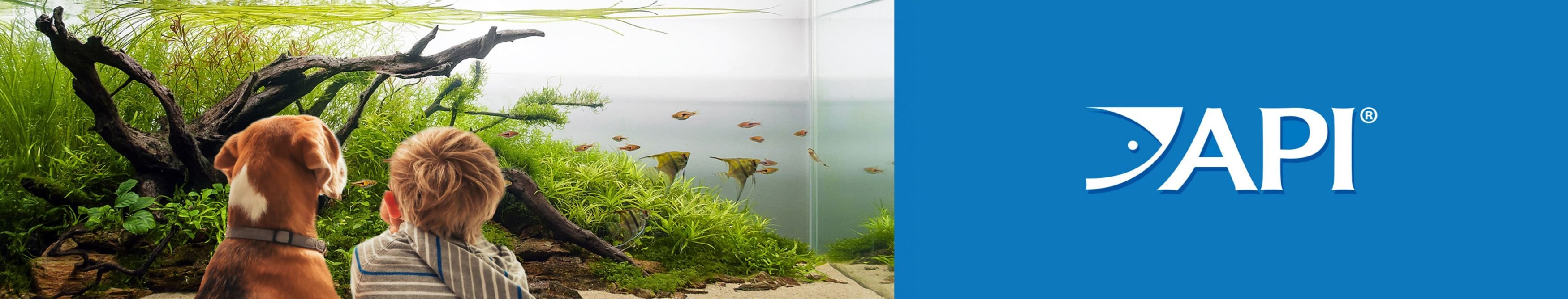 API Quick Start Freshwater & Saltwater Aquarium Water Treatment
