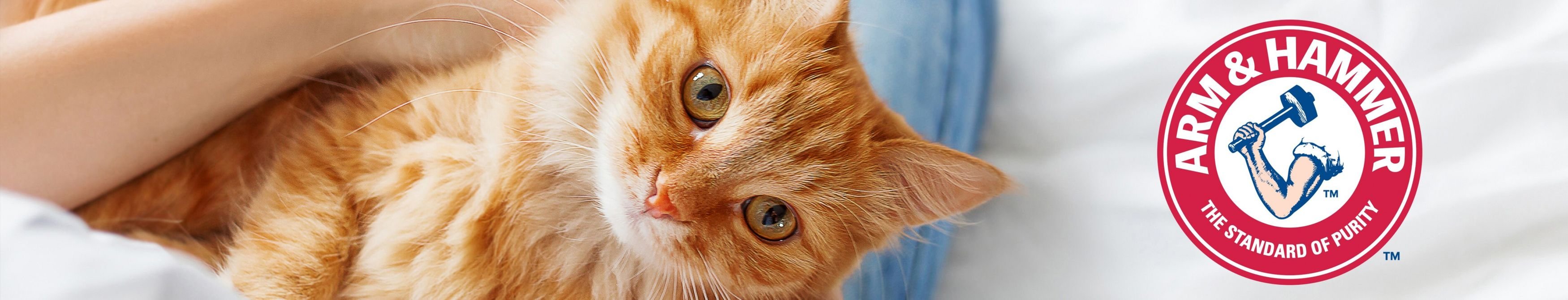 ARM & HAMMER LITTER Baking Soda Double Duty Cat Litter Deodorizer, 30