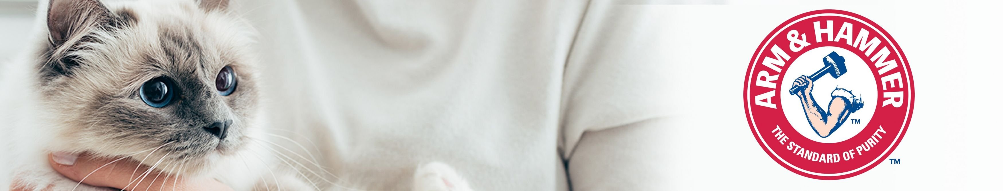 ARM & HAMMER LITTER Clump & Seal Lightweight Scented Clumping Cat Litter, 18lb bag