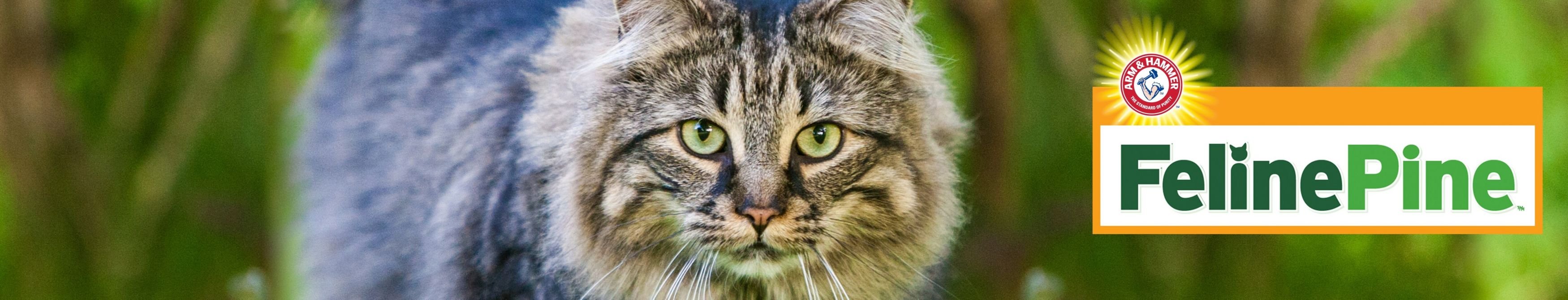 FELINE PINE Original NonClumping Wood Cat Litter, 7lb bag