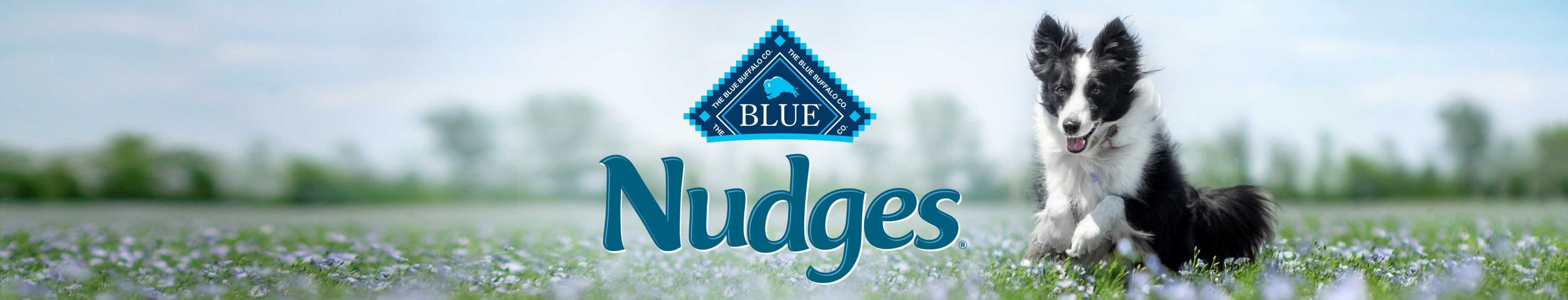 BLUE BUFFALO Nudges Grillers Steak Natural Dog Treats, 5oz bag