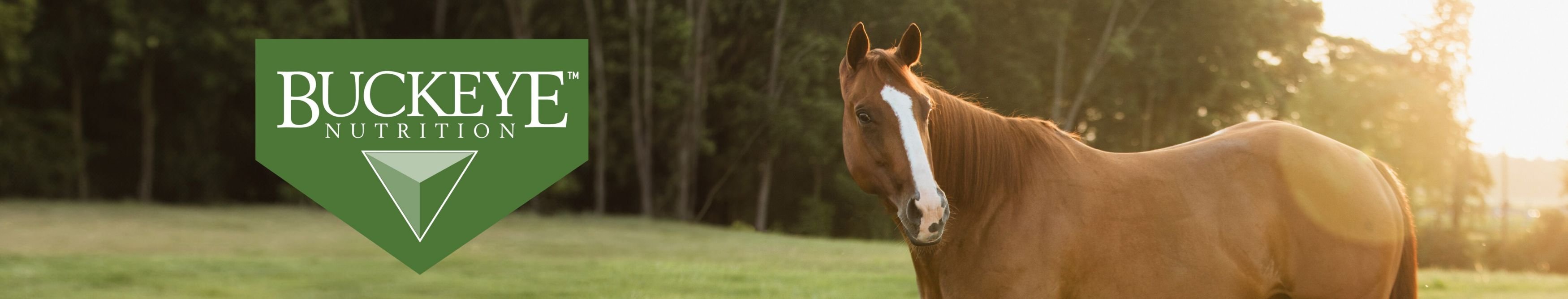 BUCKEYE NUTRITION AllNatural Peppermint Horse Treats, 4lb bag