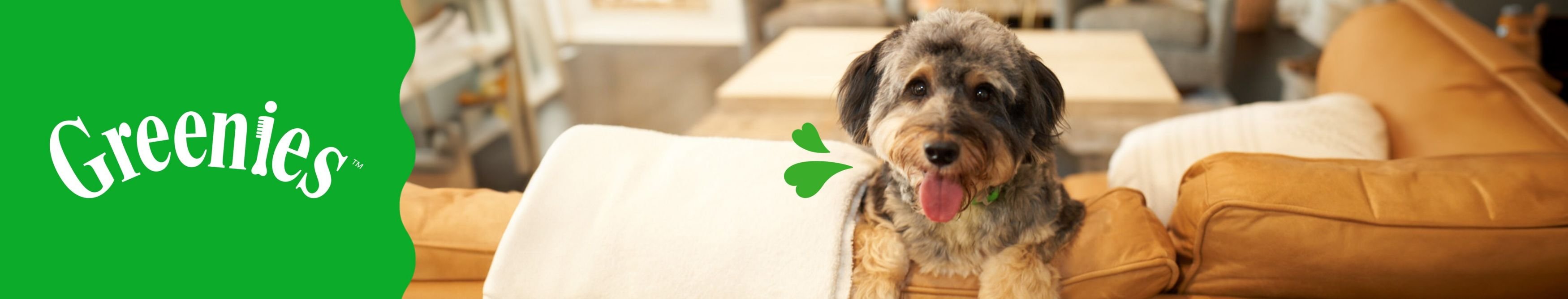 Greenies Puppy Regular Dental Dog Treats