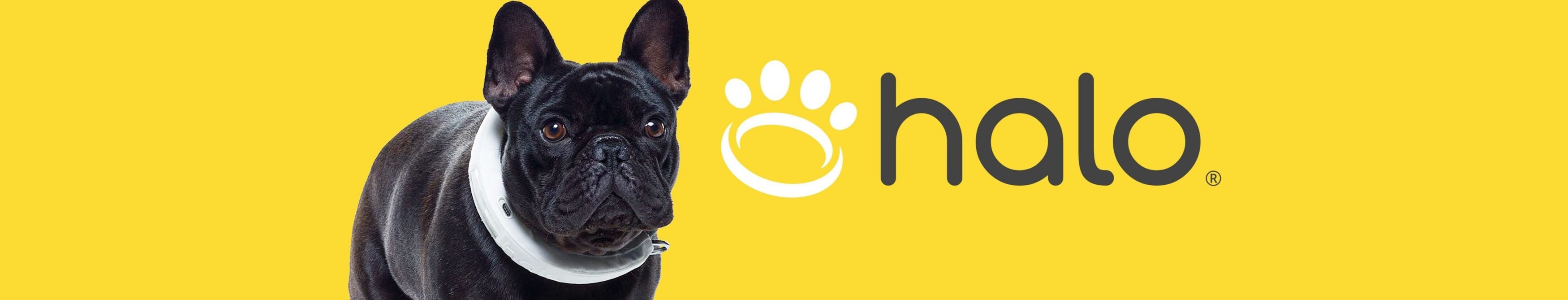 Discontinued - HALO COLLAR 2+ GPS Dog Collar & Wireless Virtual Fence