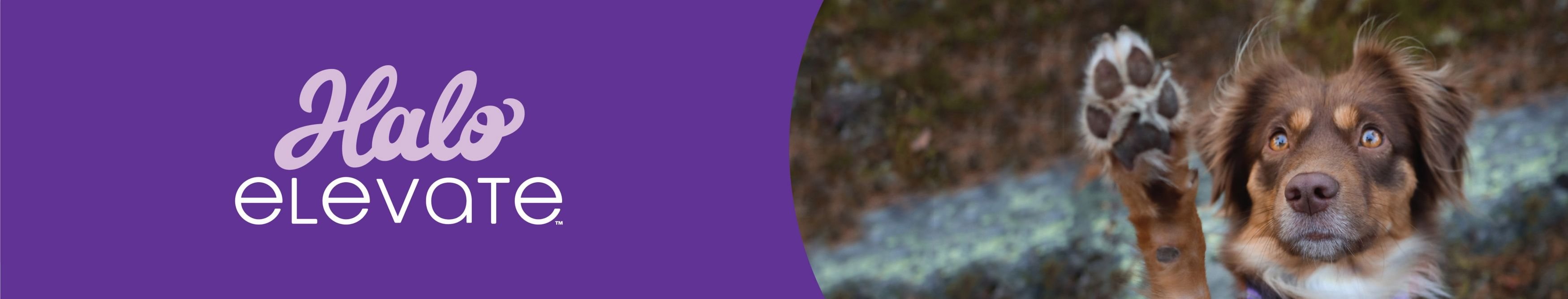 HALO Elevate Healthy Grains Chicken Recipe Dry Dog Food, 3.5lb bag