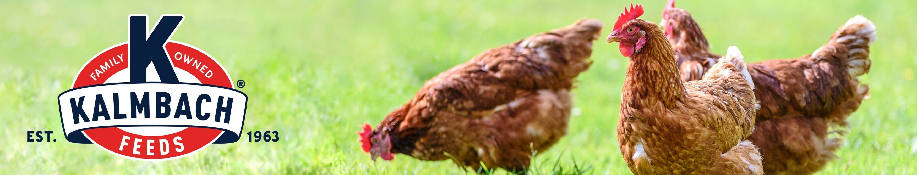 Kalmbach Feeds All Natural 17% Protein Layer Pellets Chicken Feed