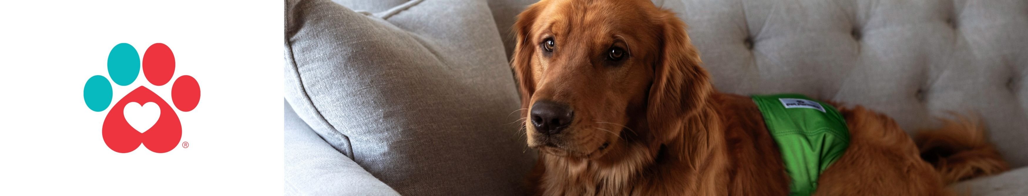 PET PARENTS Belly Band Washable Male Dog Wrap + Extendrs, Natural, X