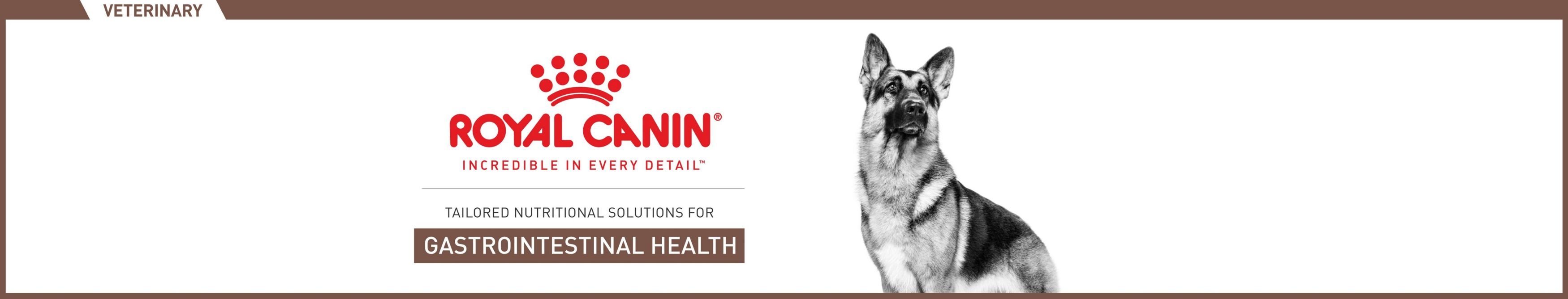 Royal Canin Veterinary Diet Gastrointestinal Low Fat Adult Dry Dog Food