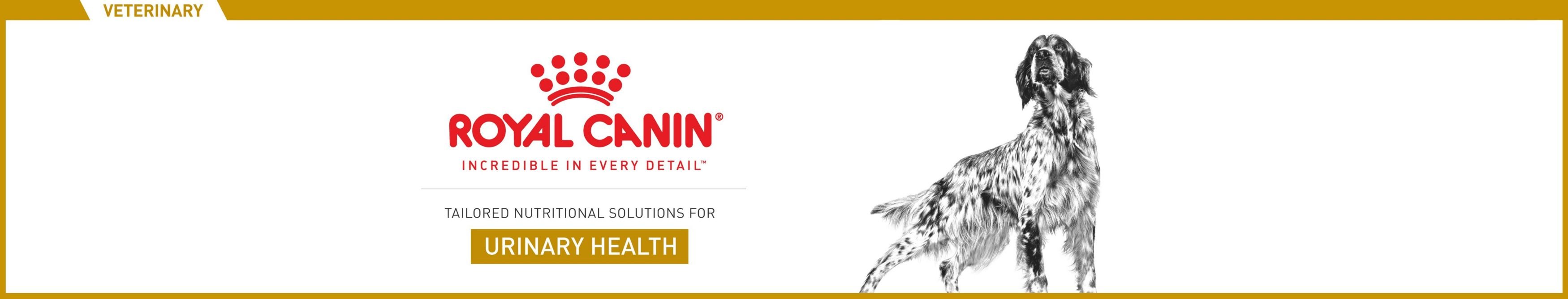 Royal Canin Veterinary Diet Adult Urinary SO Dry Dog Food