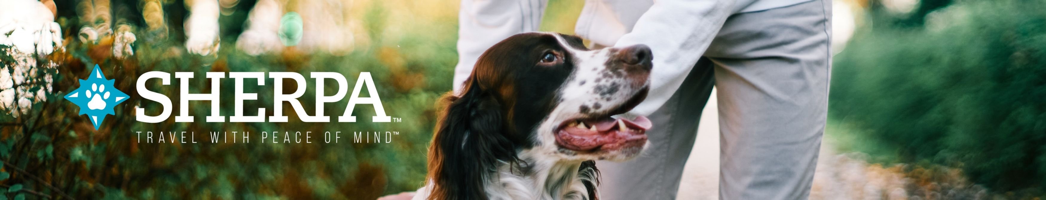 SHERPA Forma Frame Dog & Cat Carrier Bag, Black, XLarge