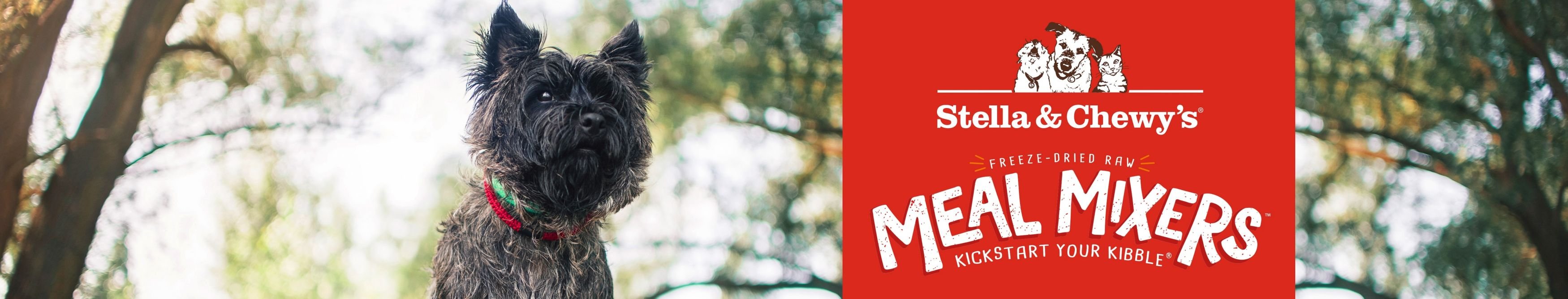 STELLA & CHEWY'S Stella's Super Beef Meal Mixers FreezeDried Raw Dog