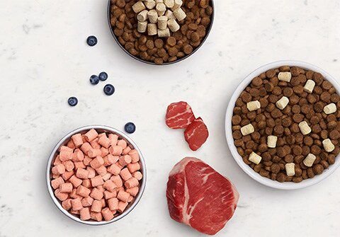 Instinct Raw Boost Whole Grain Real Chicken & Brown Rice Recipe Dry Dog Food