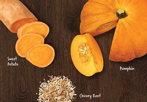 Sweet potato, Chicory root, Pumpkin