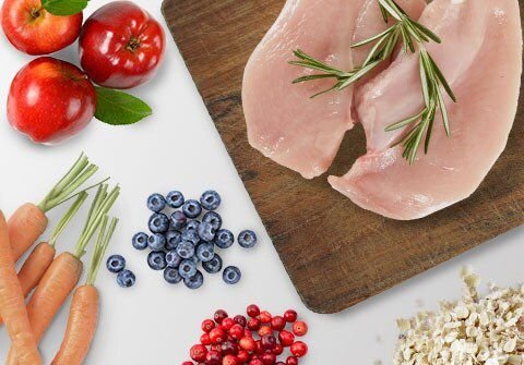 Instinct Raw Boost Whole Grain Real Chicken & Brown Rice Recipe Dry Dog Food