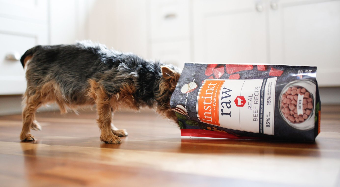 INSTINCT Raw Boost Shakers Chicken Recipe Digestive Health GrainFree