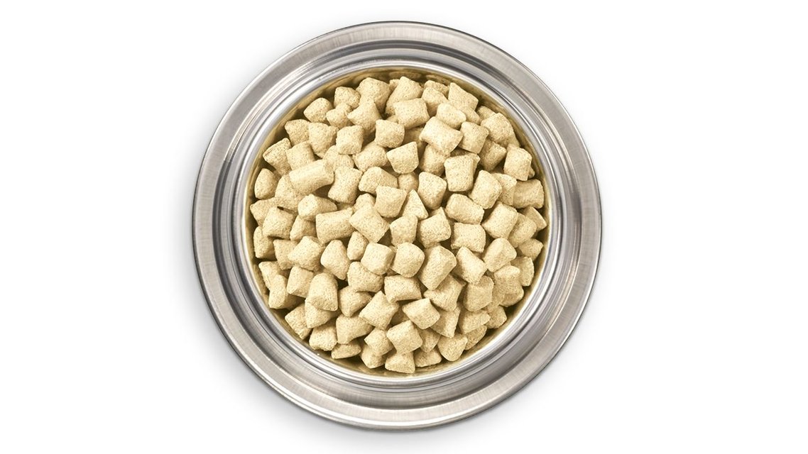 INSTINCT Raw Boost Shakers Chicken Recipe Digestive Health GrainFree