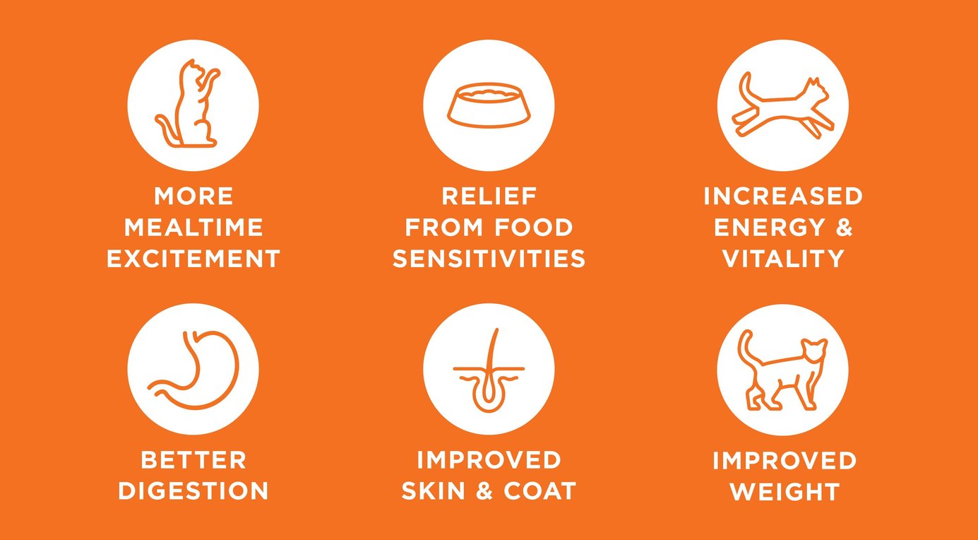 INSTINCT Raw Boost Shakers Chicken Recipe Digestive Health GrainFree