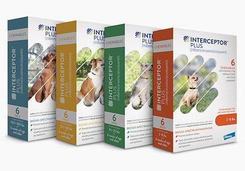 Interceptor Plus Chew for Dogs, 8.1-25 lbs, (Green Box)