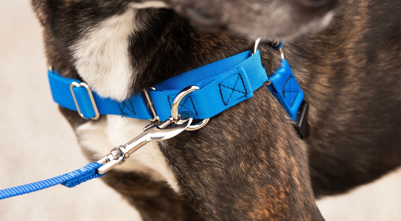 JWalker Dog Harness