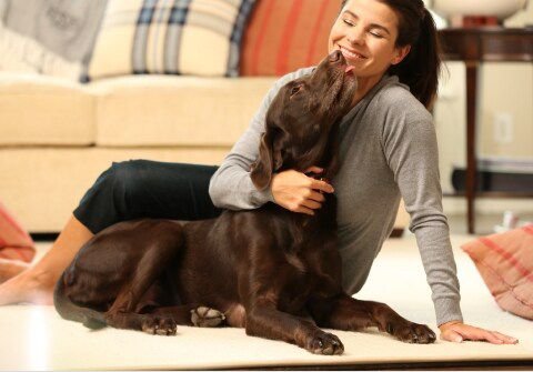 Galliprant (grapiprant) Tablets for Dogs
