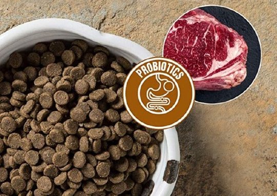 Taste of the Wild Ancient Stream Smoke-Flavored Salmon with Ancient Grains Dry Dog Food