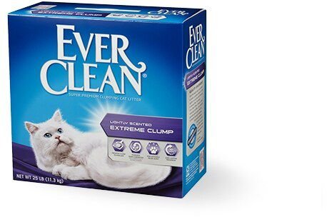 Everclean cat litter best sale