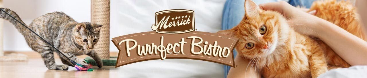 Merrick Purrfect Bistro Grain-Free Chicken Divan Morsels in Gravy Canned Cat Food
