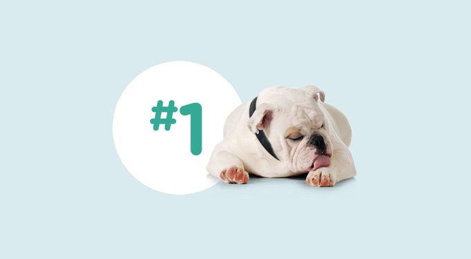Apoquel (oclacitinib) Tablets for Dogs