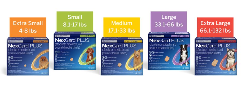 NEXGARD PLUS Chewables for Dogs 33.1 66 lbs. Purple Box 6 Chewable Tablets 6 mos. supply Chewy