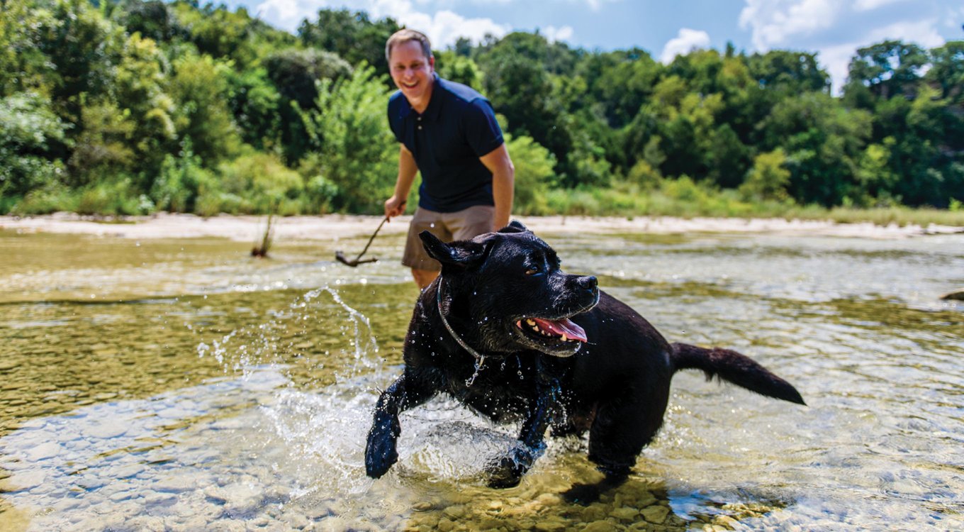 NULO Freestyle Silky Mousse Beef & Sardine Recipe GrainFree Wet Cat